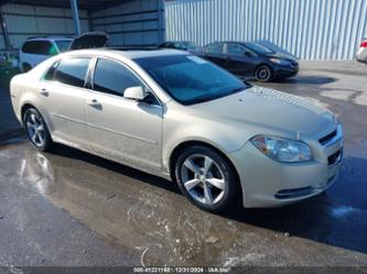 CHEVROLET MALIBU 1LT