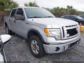 FORD F-150 FX4/HARLEY-DAVIDSON/KING RANCH/LARIAT/PLATINUM/XL/XLT