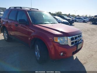 FORD ESCAPE XLT