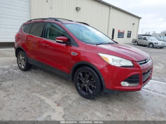 FORD ESCAPE SEL