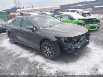 TOYOTA CAMRY HYBRID XLE HYBRID