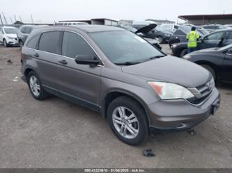 HONDA CR-V EX