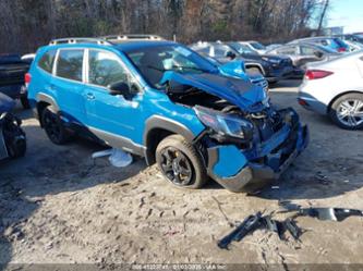 SUBARU FORESTER WILDERNESS