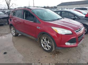 FORD ESCAPE SEL