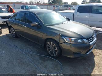 HONDA ACCORD SPORT