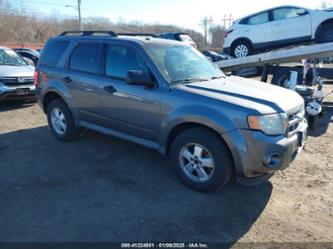 FORD ESCAPE XLT