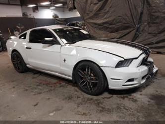 FORD MUSTANG V6