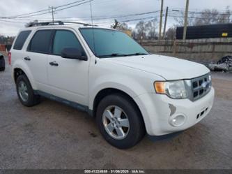 FORD ESCAPE XLT