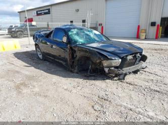 DODGE CHARGER SE