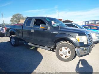 FORD F-150 XLT