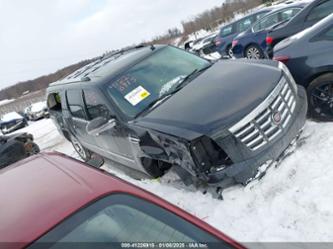 CADILLAC ESCALADE LUXURY