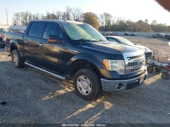 FORD F-150 XLT