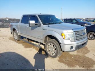 FORD F-150 PLATINUM