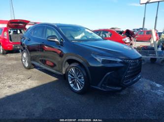 LEXUS NX 350 LUXURY