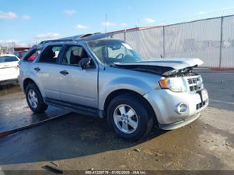 FORD ESCAPE XLT