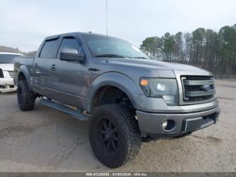 FORD F-150 FX4