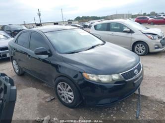 KIA FORTE EX