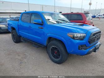 TOYOTA TACOMA TRD PRO