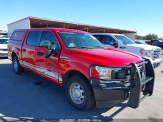 FORD F-150 XL