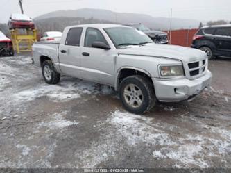 RAM DAKOTA BIGHORN/LONESTAR