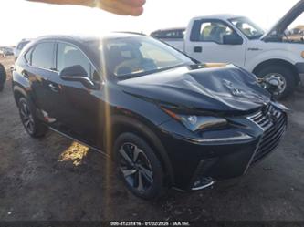 LEXUS NX 300