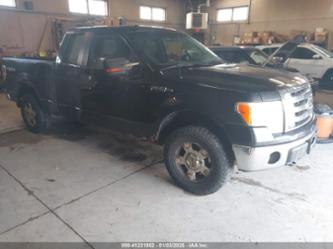 FORD F-150 FX4/LARIAT/XL/XLT