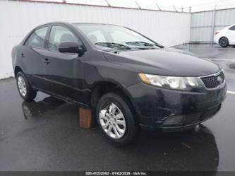 KIA FORTE EX