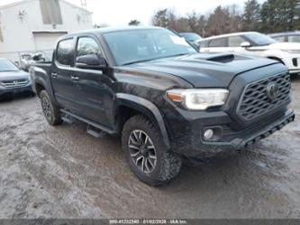 TOYOTA TACOMA TRD SPORT