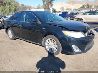 TOYOTA CAMRY HYBRID XLE