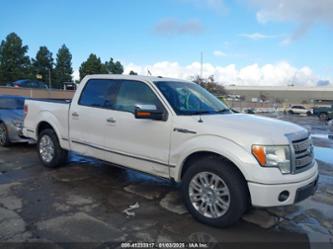 FORD F-150 FX2 SPORT/HARLEY-DAVIDSON/KING RANCH/LARIAT/PLATINUM/XL/XLT