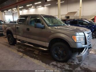 FORD F-150 FX4/HARLEY-DAVIDSON/KING RANCH/LARIAT/PLATINUM/XL/XLT