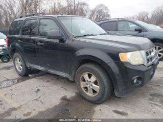 FORD ESCAPE XLT