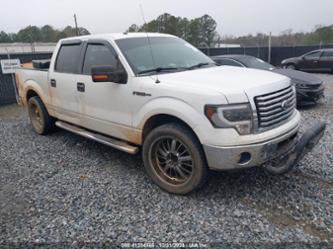 FORD F-150 XLT