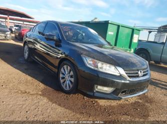 HONDA ACCORD TOURING