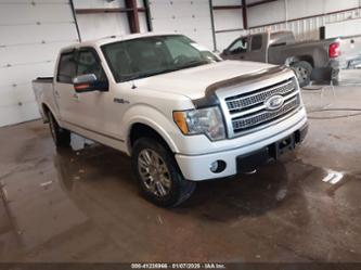 FORD F-150 FX4/HARLEY-DAVIDSON/KING RANCH/LARIAT/PLATINUM/XL/XLT