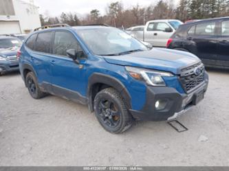 SUBARU FORESTER WILDERNESS