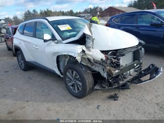 HYUNDAI TUCSON BLUE