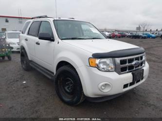 FORD ESCAPE XLT