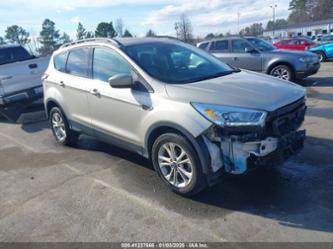 FORD ESCAPE SEL