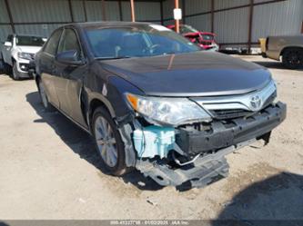 TOYOTA CAMRY XLE V6