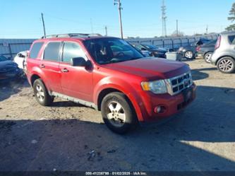 FORD ESCAPE XLT