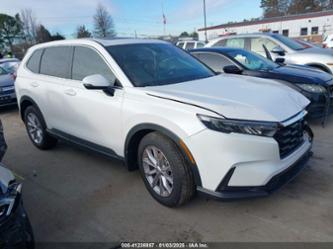 HONDA CR-V EX AWD