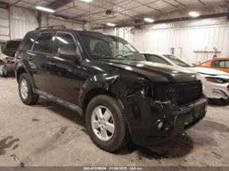 FORD ESCAPE XLT