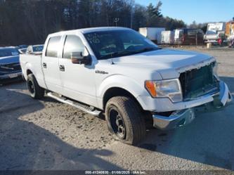 FORD F-150 XLT