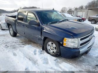 CHEVROLET SILVERADO 1500 LT