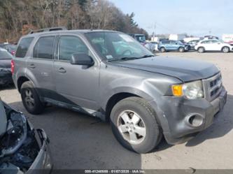 FORD ESCAPE XLT