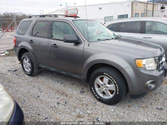 FORD ESCAPE XLT