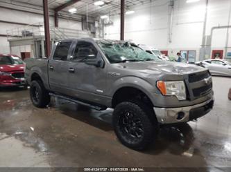 FORD F-150 FX4/KING RANCH/LARIAT/LIMITED/PLATINUM/XL/XLT