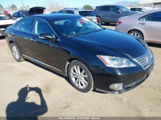 LEXUS ES 350 BASE (A6)