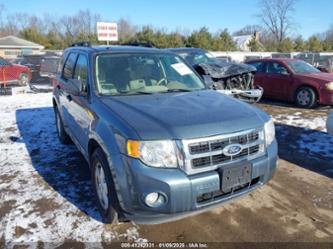 FORD ESCAPE XLT